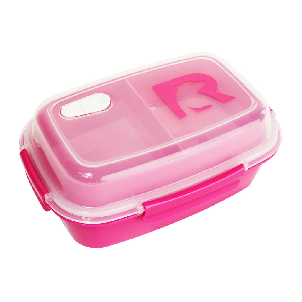 Lunch Container