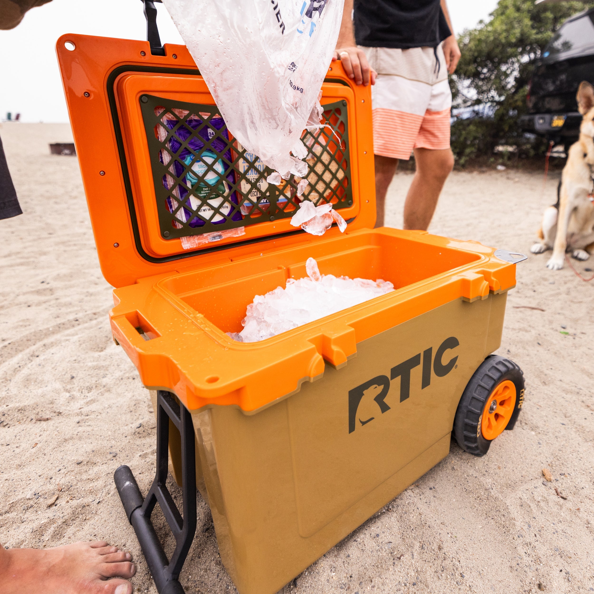 52 QT Ultra-Light Wheeled Cooler